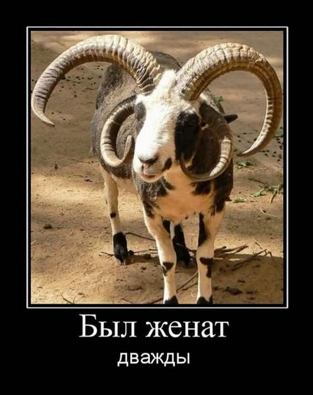 Новая подборка демотиваторов со смыслом №1