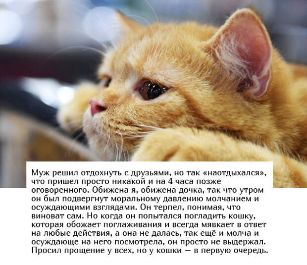 www.vsyako.net