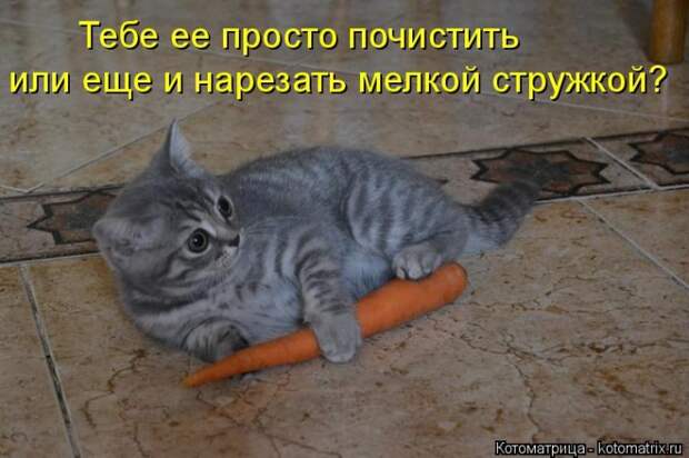 Апрельская котоматрица :)