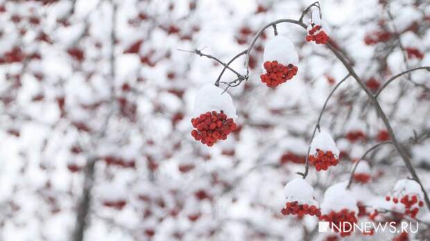 В Екатеринбург возвращается зима: будет -30