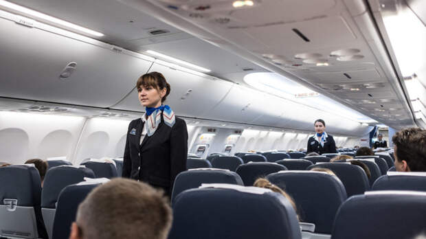 Экипажи пассажирских лайнеров и служащих аэропортов научат борьбе с террористами и авиадебоширами