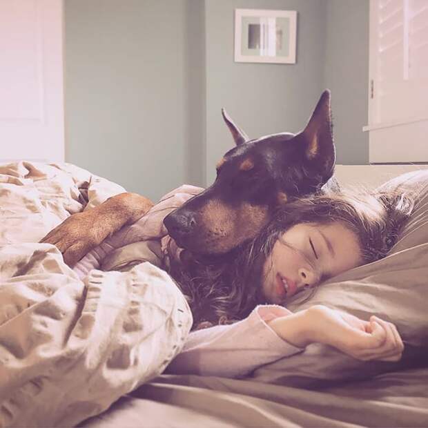 Следует ли позволять собаке спать с вами?