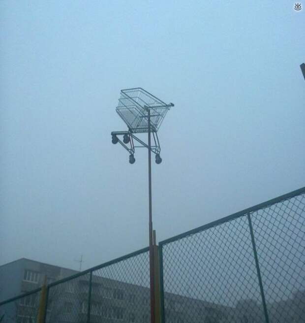 Фотосмешнявки 45