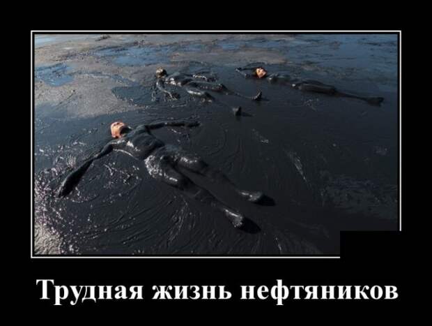 Демотиваторы (30 фото)