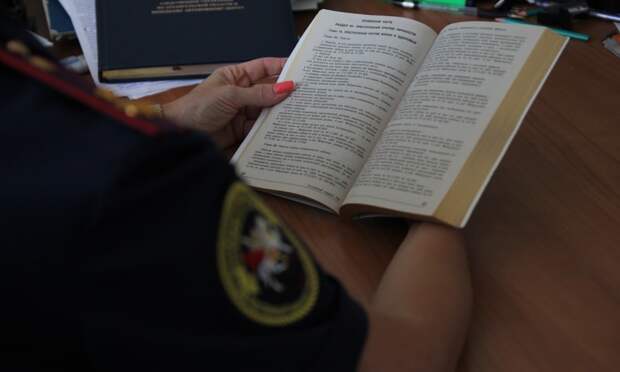 Жительница Каргополя ответит в суде за спаивание подростка