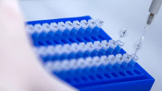 Исследователи не зафиксировали нежелательных реакций на назальную вакцину от COVID-19