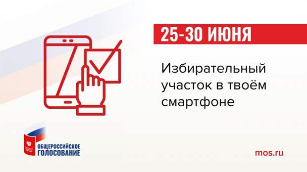 Проголосовать по изменениям в Конституции можно будет двумя способами alt