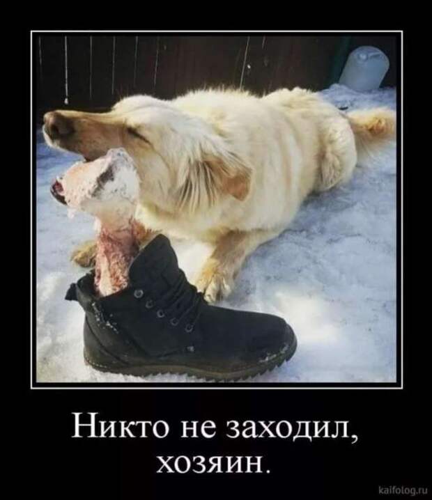 Прикольные демотиваторы с надписями. Подборка chert-poberi-dem-chert-poberi-dem-21290913072020-7 картинка chert-poberi-dem-21290913072020-7