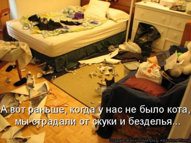 Лучшая котоматрица за неделю (32 фото)