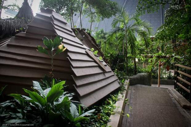 Tropical Islands - искусственный рай путешествия, факты, фото