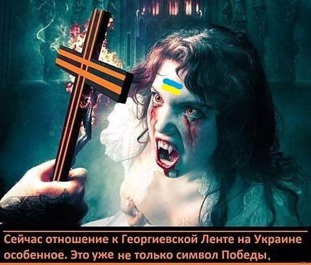 9ba338583a69d5d1955d8ab5cd42c0d8.jpg