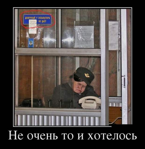Демотиваторы (30 фото)