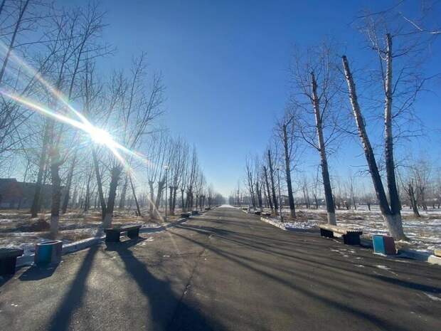 Материалы дела по парку Угольщиков передали в Забайкальский краевой суд