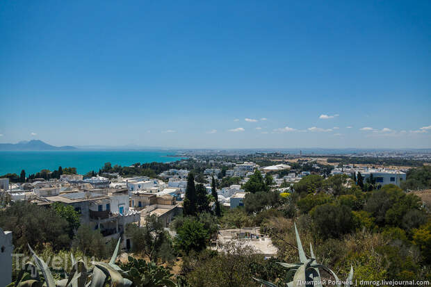 Сиди-бу-Саид: бело-синий "уникальный" / Фото из Туниса