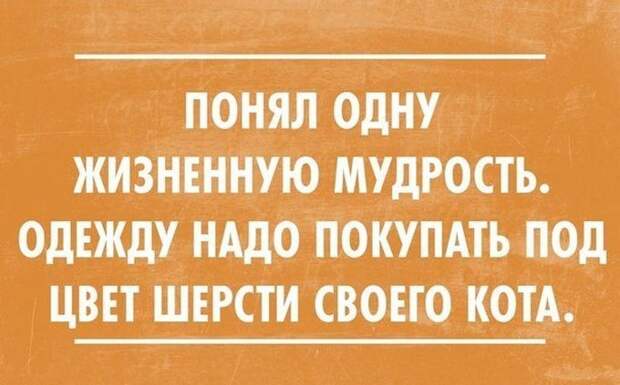 30 открыток под настроение настроение, открытки, юмор