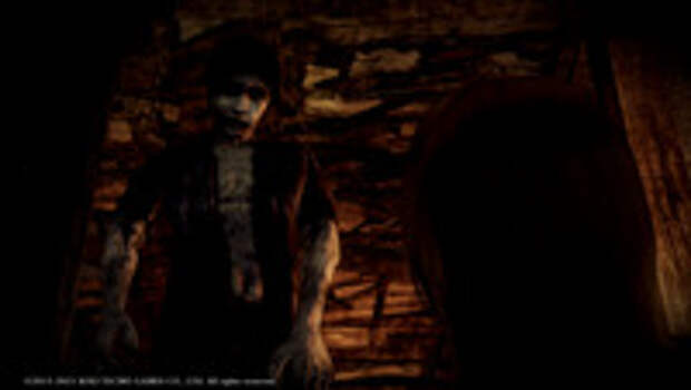 Обзор PROJECT ZERO: MAIDEN OF BLACK WATER (Fatal Frame: Maiden of Black Water)