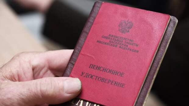 Россиянам объяснили, как проверить накопленные пенсионные баллы
