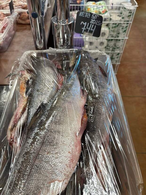 Кунашир: сколько стоит рыба и морепродукты на острове — свежий обзор цен