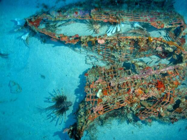 Археологи обнаружили кладбище кораблей у побережья древнего города Птолемаида в Ливии