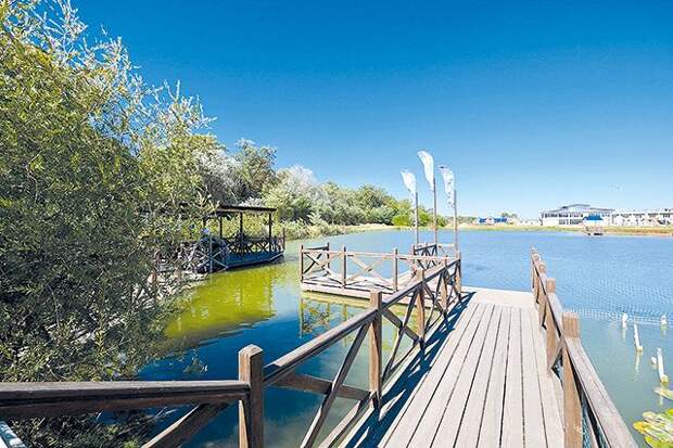 IMG_5918.jpg IMG_5918.jpg