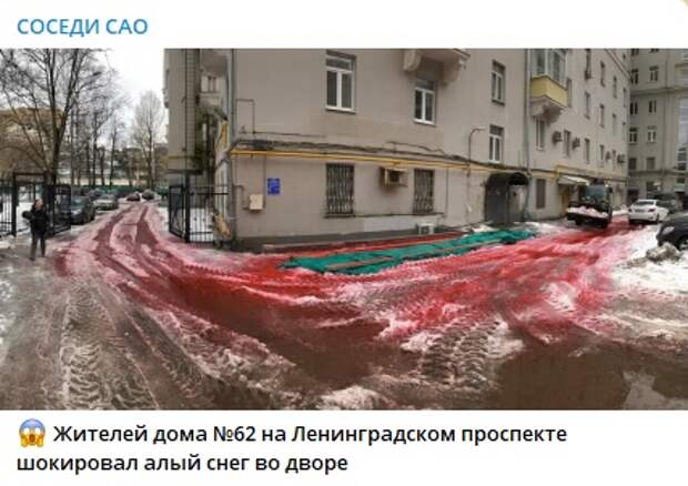 Управа раскрыла тайну кровавого снега на Ленинградском проспекте