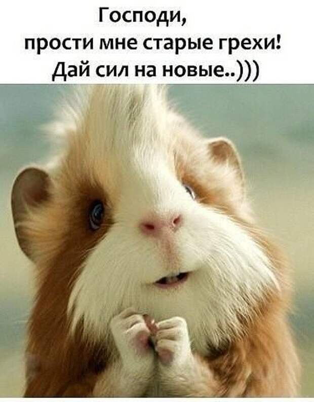 Клевые мемы (четверг)