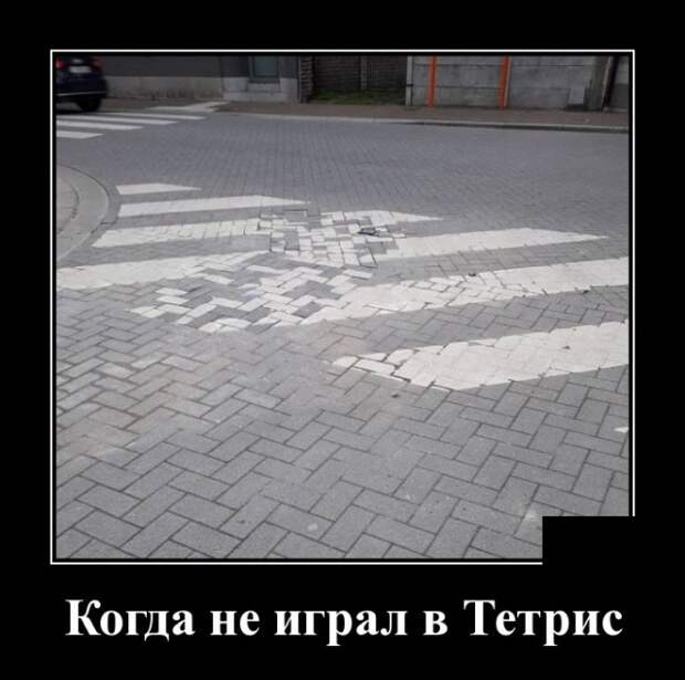 Демотиваторы (20 фото)