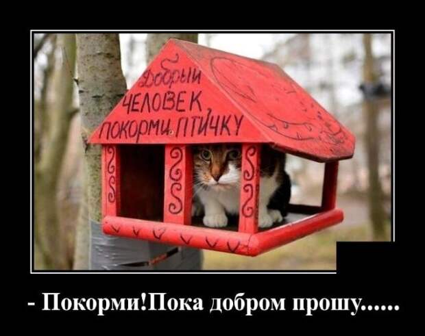 demotivatory-demotivator-smeshnye-demotivatory-demotivator-so-smyslom