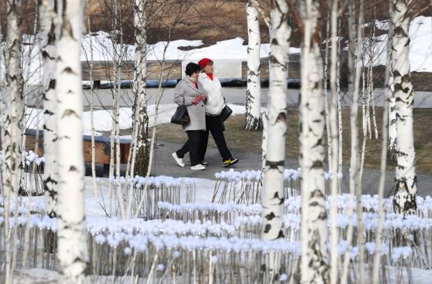 Москвичам назвали время полного схода снега