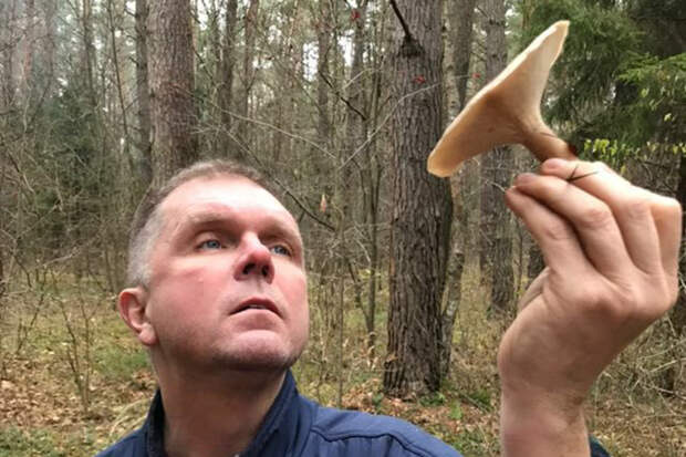 Отравившегося грибами журналиста «Коммерсанта» два дня держали в COVID-отделении