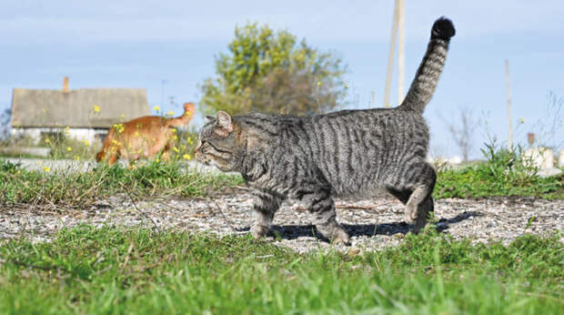 Погода 11 марта: ночью до -1, днём до +16