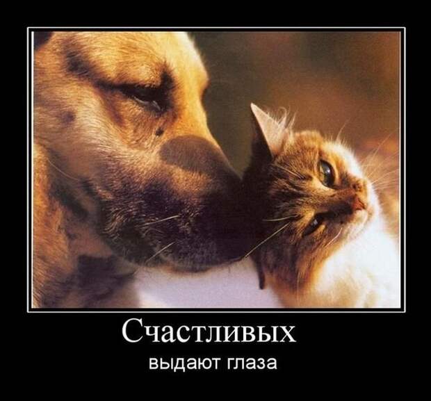 Давайте улыбаться вместе!