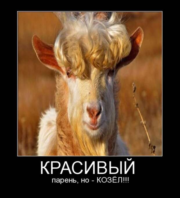 Демотиваторы демотиваторы, юмор