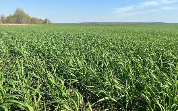 В Рязанской области аграрии начали весенние работы в полях