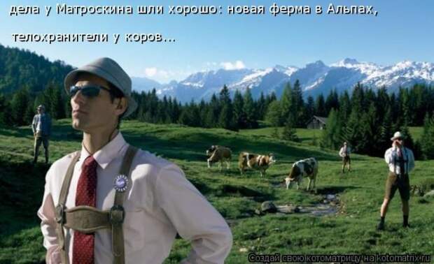 Лучшие котоматрицы недели