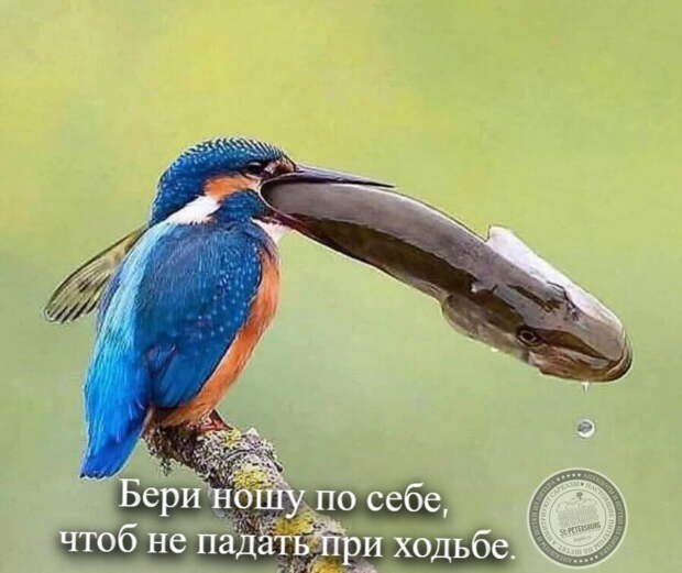 Бери ношу по себе