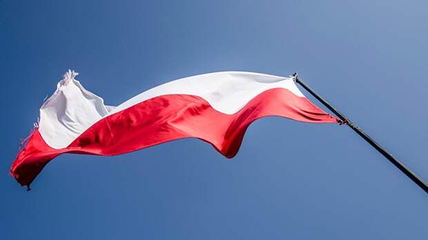 В Польше назвали «болванами» американских политиков
