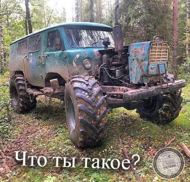 Что ты такое