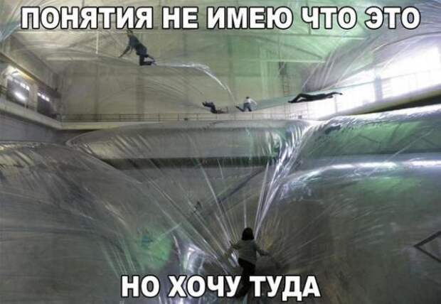 Картинки, юмор, приколы