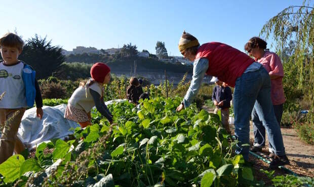 В Сан-Франциско открылась инновационная школа, где детей учат выращивать себе еду