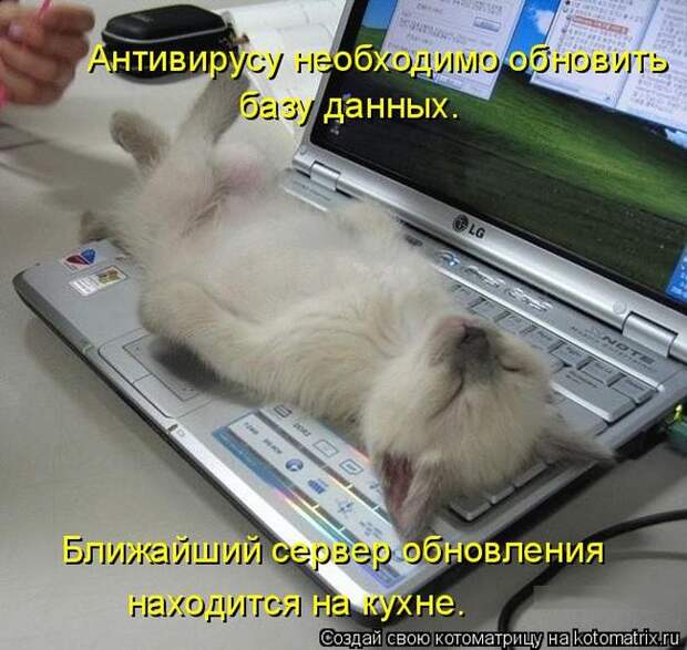 Лучшие котоматрицы недели (50 фото) Лучшие котоматрицы недели (50 фото)