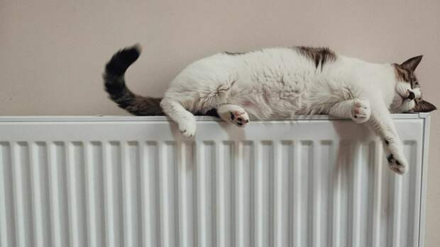 Больше половины жилых домов в Барнауле уже получили отопление