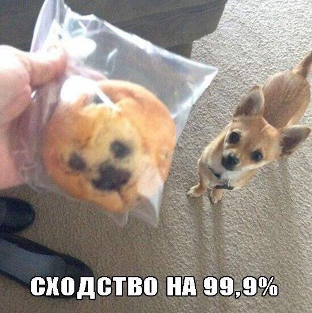 Позитивный пост+111 Позитивный пост+111