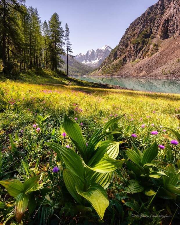 Прекрасного Алтая Вам в ленту фотография, Алтай, Горный Алтай, instagram, длиннопост