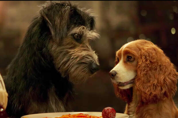 Lady and the Tramp | Photo Credits: Disney+