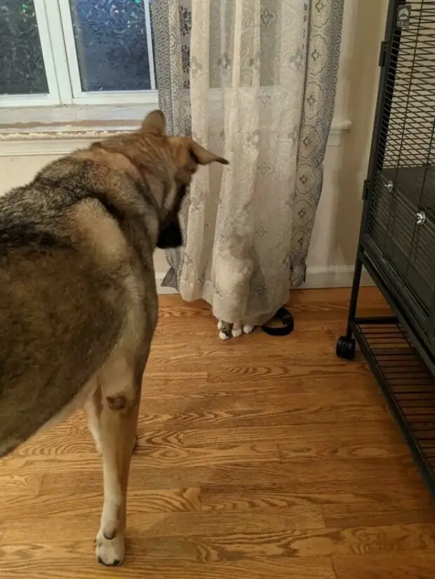 ?
