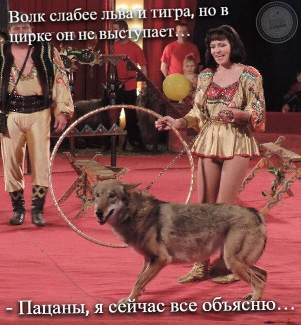 Я все объясню...
