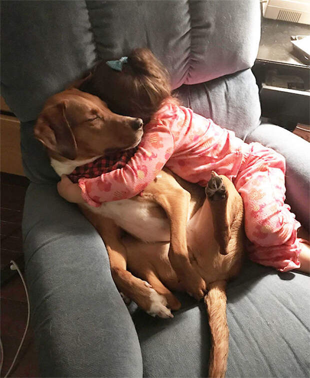 I Went To Go Get A Drink And My Daughter Took My Seat. And My Dog. I Didn't Sit Down