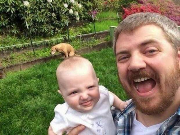 Уморительные животные, которые умеют фотобомбить как никто другой (18 фото) Уморительные животные, которые умеют фотобомбить как никто другой (18 фото)