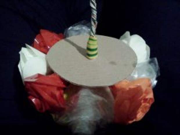rosa_iz_scotcha_12 rosa_iz_scotcha_12